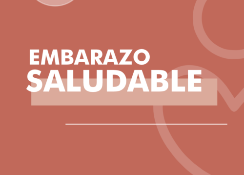 Dra. Aleyda Fernanda Armenta Rios